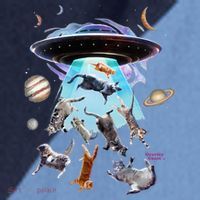 Aliens Abducting Cats Cat Kittens Ufo Saucer Cat Lover Gifts Raglan Baseball Sleeve Shirt thumb 2