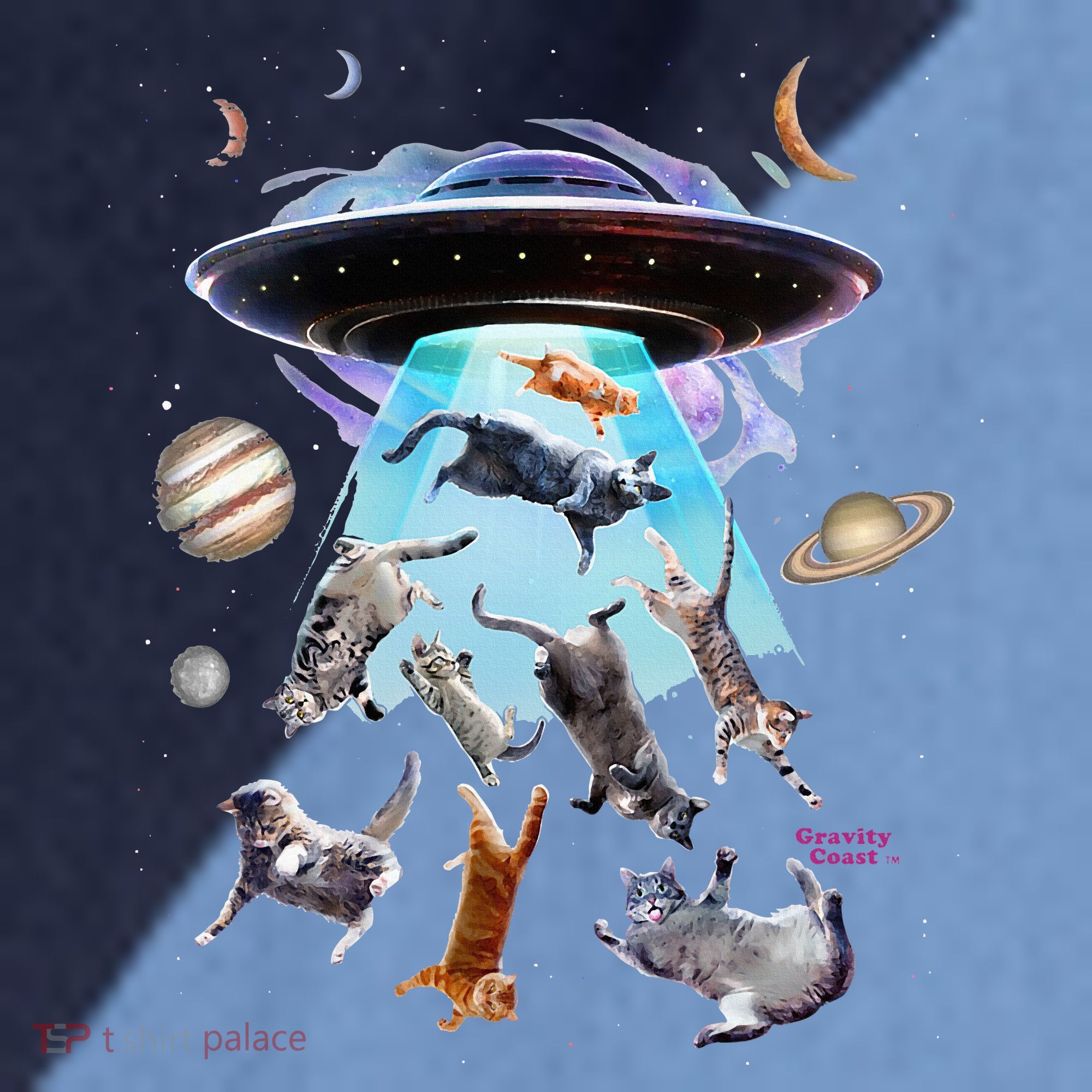 Aliens Abducting Cats Cat Kittens Ufo Saucer Cat Lover Gifts Raglan Baseball Sleeve Shirt