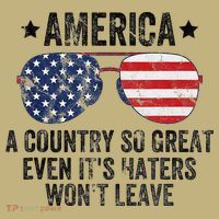 America A Country So Great Even Its Haters Wont Leave Hoodie thumb 7