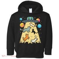 Alien Abduction Cats Ufo Flying Saucer Space Women Toddler Hoodie thumb 0