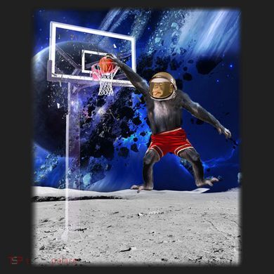 Air Ape Dunking Basketball Monkey Hat