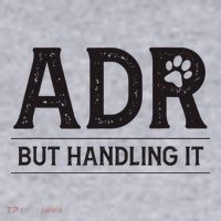 Adr AinT Doin Right But Handling It Funny Vet Tech Vet Dk. Women's Sweatshirt thumb 2
