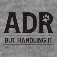 Adr AinT Doin Right But Handling It Funny Vet Tech Vet Dk. Toddler Hoodie thumb 2