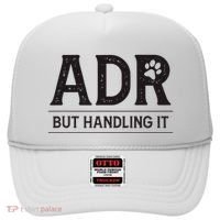 Adr AinT Doin Right But Handling It Funny Vet Tech Vet Dk. Hat thumb 0