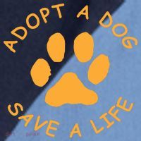 Adopt A Dog Save A Life Tee Rescue Dog Raglan Baseball Sleeve Shirt thumb 2