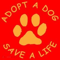 Adopt A Dog Save A Life Tee Rescue Dog Santa Hat thumb 1