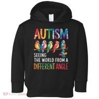 Autism Awareness Different Angle Neurodiversity Toddler Hoodie thumb 0