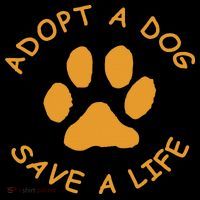 Adopt A Dog Save A Life Rescue Dog Hoodie thumb 7