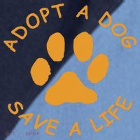 Adopt A Dog Save A Life Rescue Dog Raglan Baseball Sleeve Shirt thumb 2