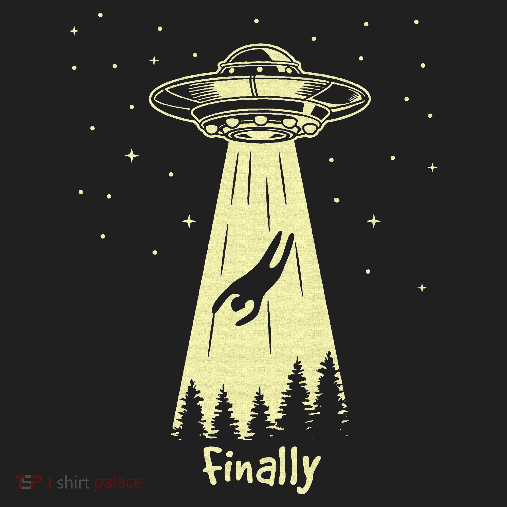 Alien Abduction Finally Aliens Hat