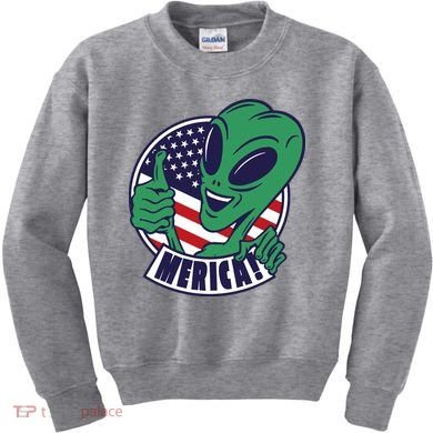 Alien American Flag Funny Merica Kids Sweatshirt