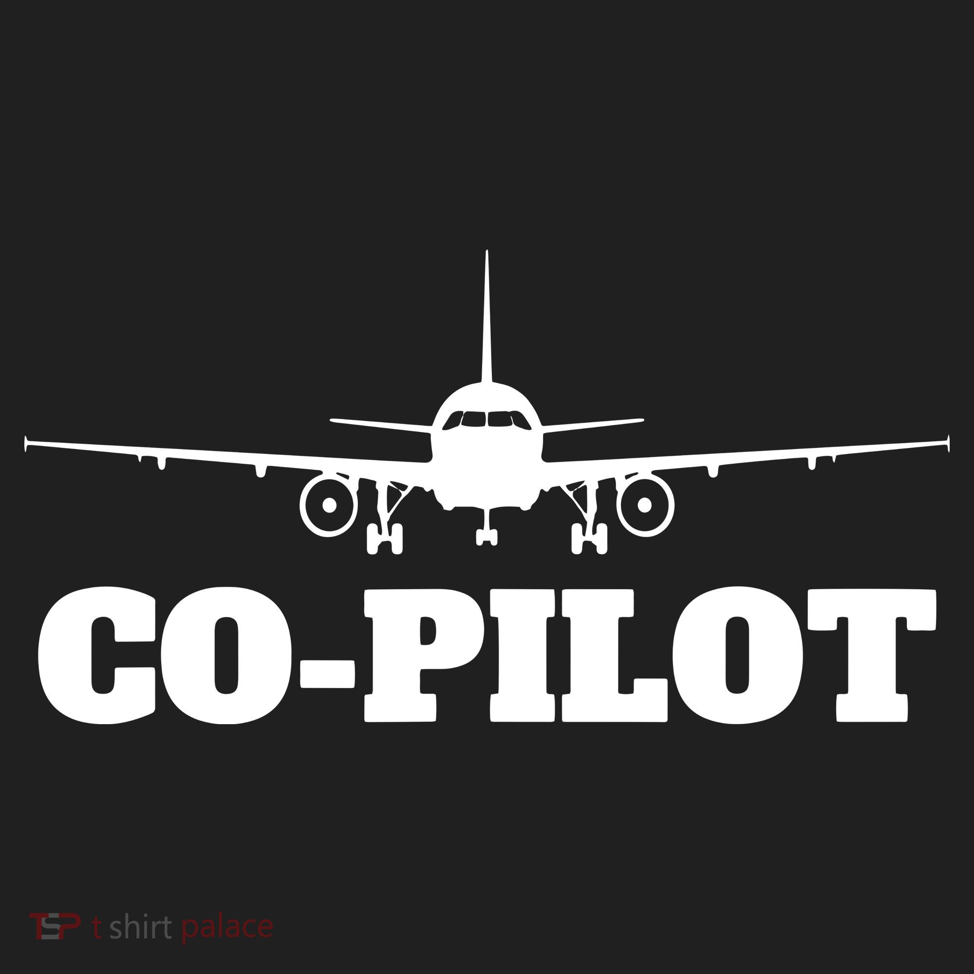 Aviation Airplane Flying Airline CoPilot Pilot Gift Tumbler