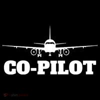 Aviation Airplane Flying Airline CoPilot Pilot Gift Ornament thumb 1