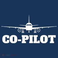 Aviation Airplane Flying Airline CoPilot Pilot Gift Sweatshirt thumb 3