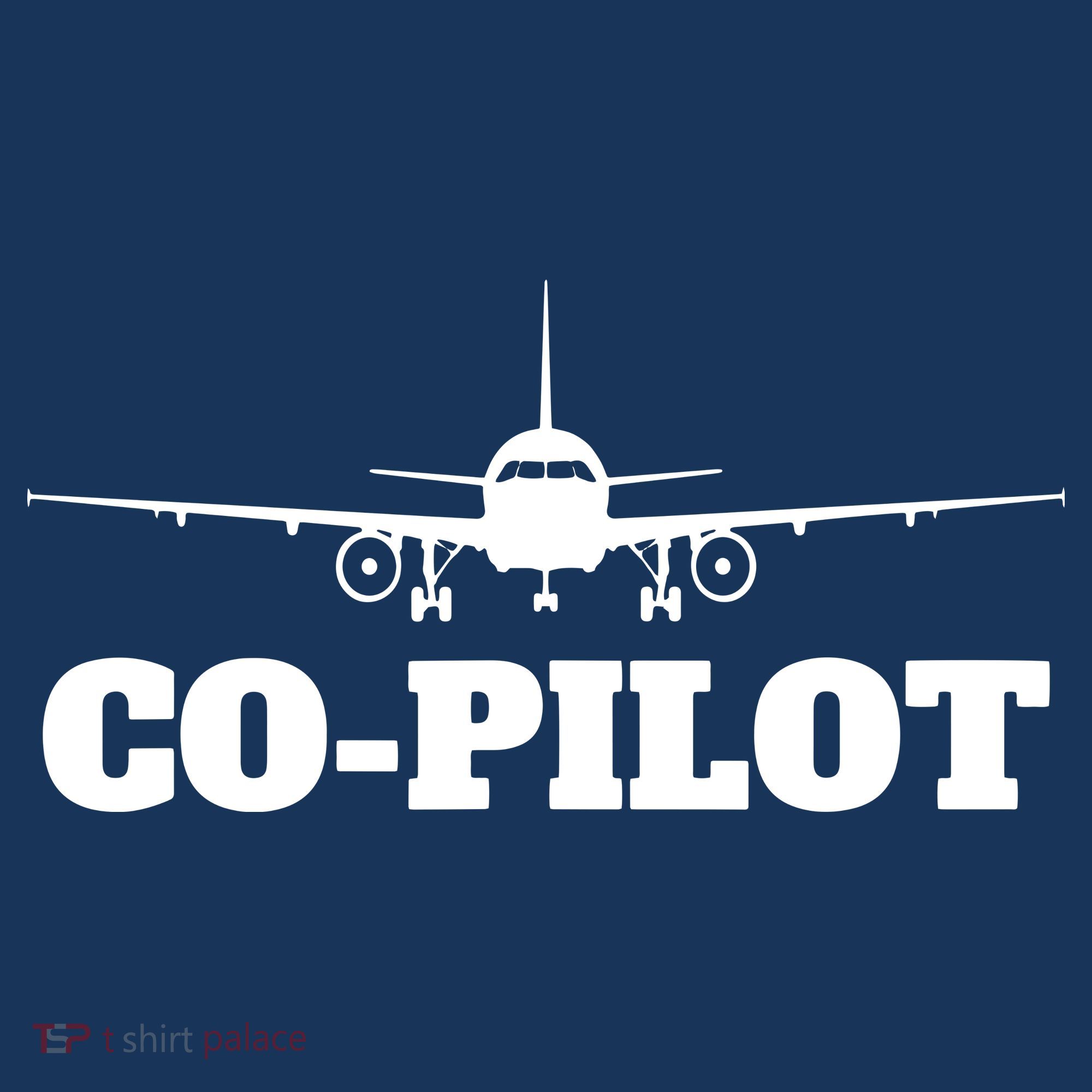 Aviation Airplane Flying Airline CoPilot Pilot Gift Beanie