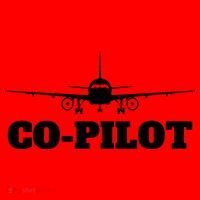 Aviation Airplane Flying Airline CoPilot Pilot Gift Santa Hat thumb 1