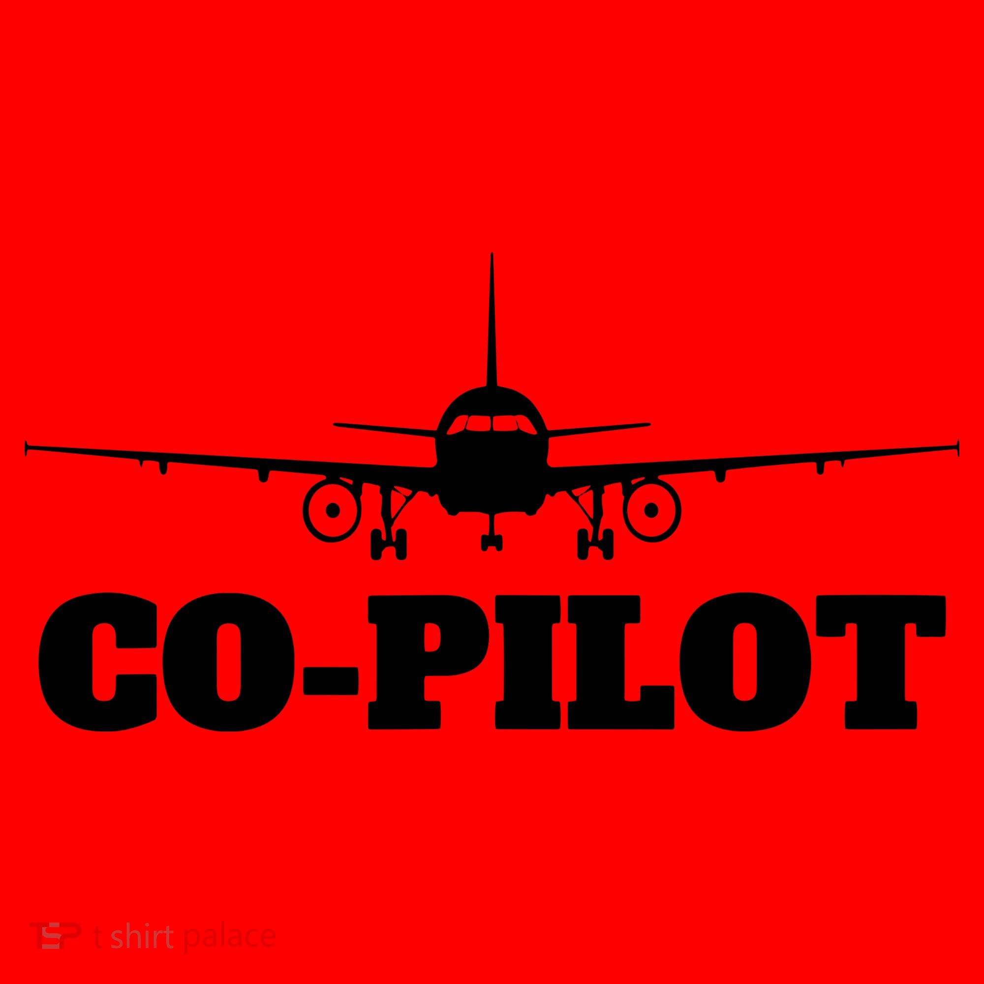 Aviation Airplane Flying Airline CoPilot Pilot Gift Santa Hat