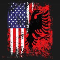 Albanian American Flag Patriotic USA Albania Flag T-Shirt thumb 7