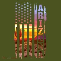 Arizona American Flag Landscape Cactus Patriotic Gift T-Shirt thumb 7