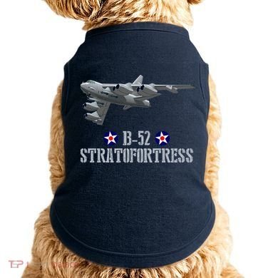 American Aircraft Heavy Bomber B-52 Air Force Doggie Tank