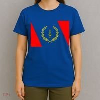 African American Heritage Flag 1967 Black History Gift T-Shirt thumb 4