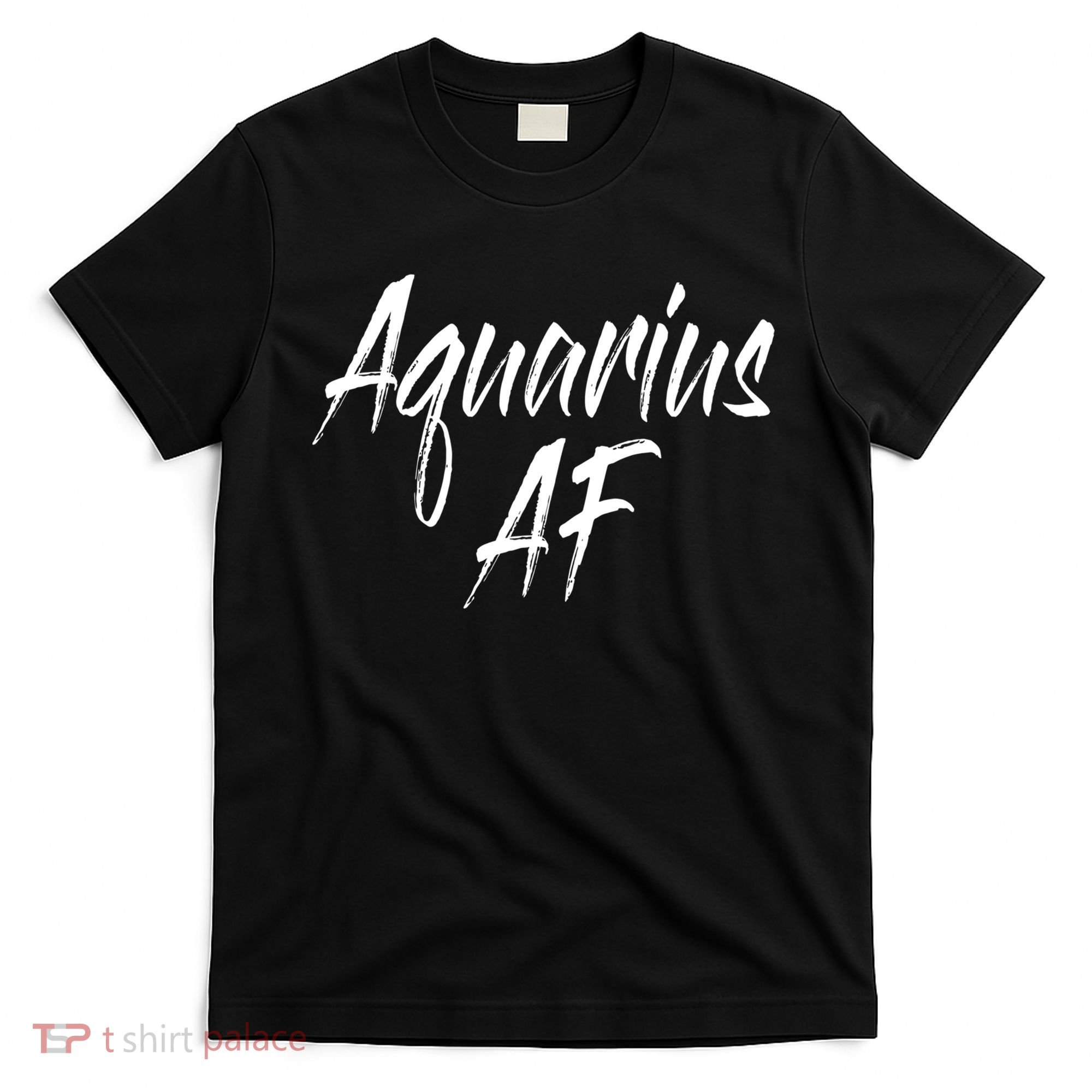 Aquarius Af Hooded Gift T-Shirt