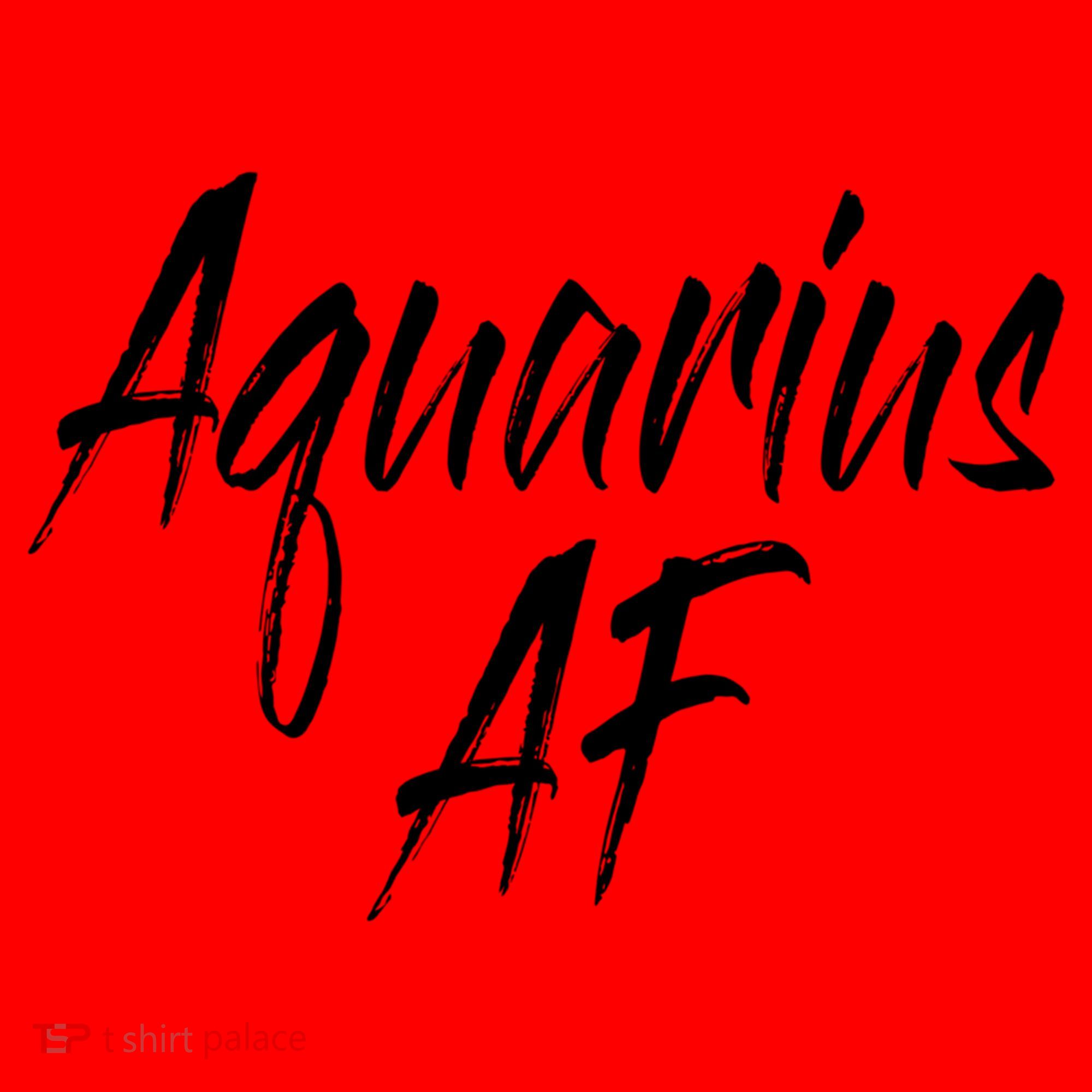 Aquarius Af Hooded Gift Santa Hat