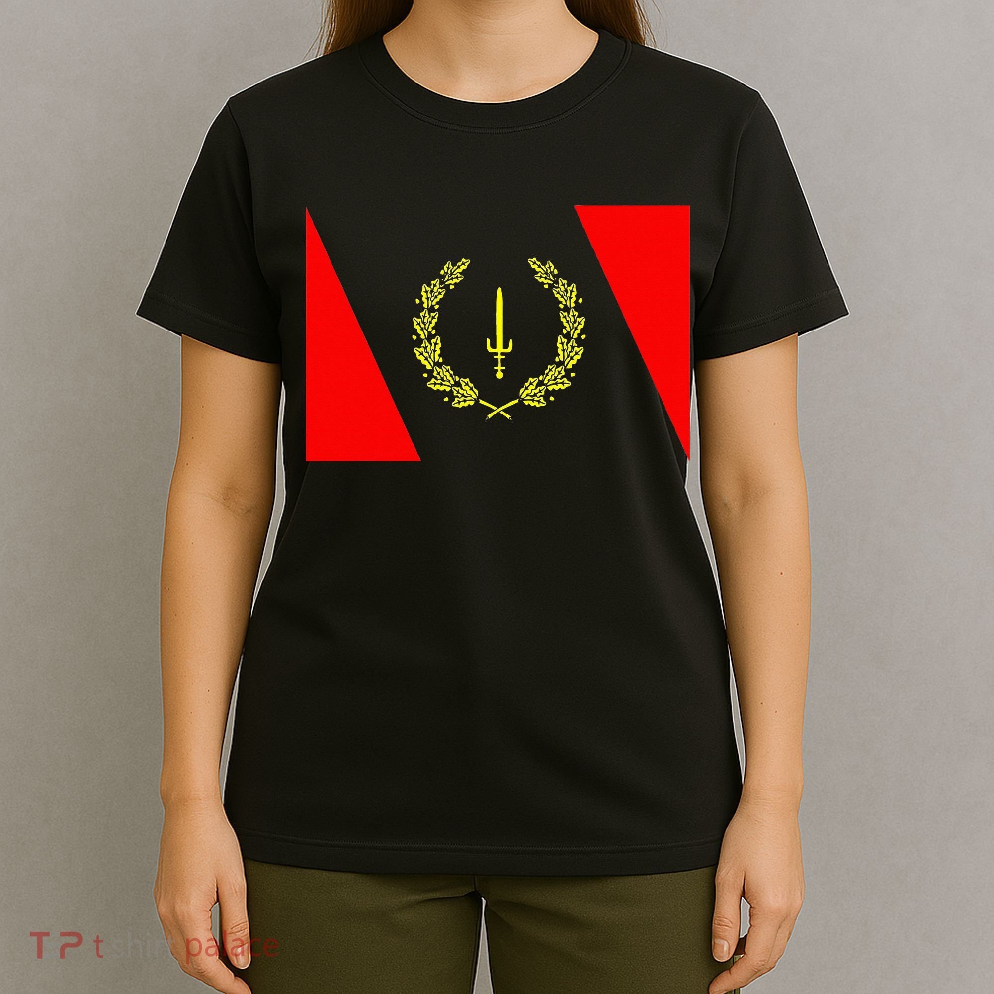 African American Heritage Flag Black History 1967 T-Shirt