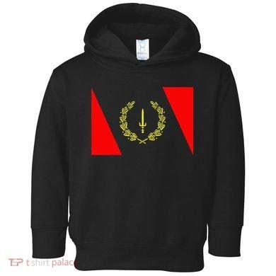 African American Heritage Flag Black History 1967 Toddler Hoodie