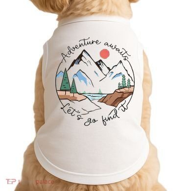Adventure Awaits Let's Go Find It Adventure Awaits Doggie Tank