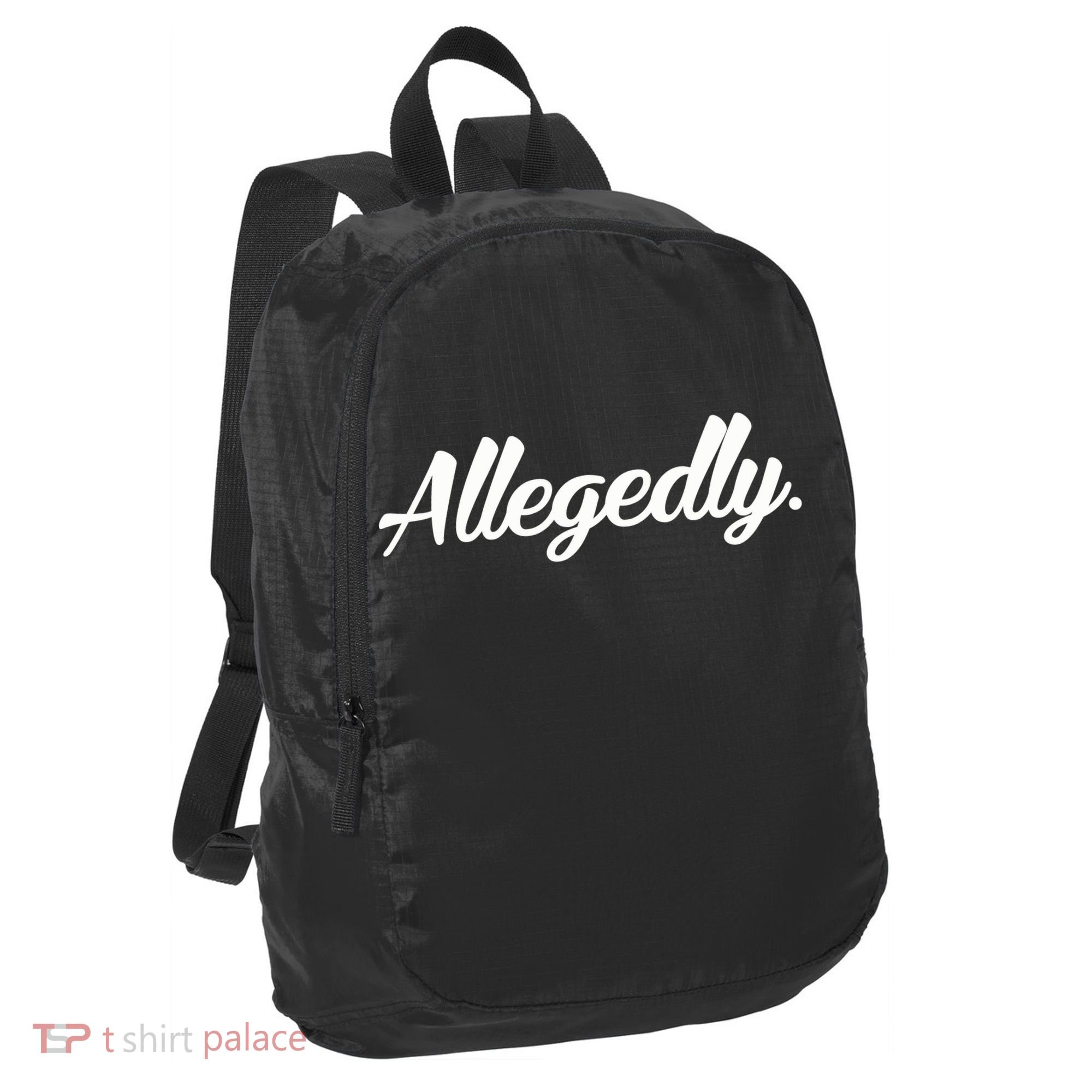 Allegedly Port Authority Crush Ripstop Backpack