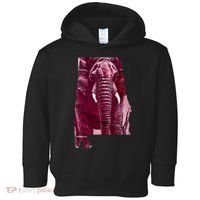 Alabama Toddler Hoodie thumb 0