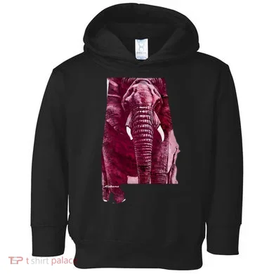 Alabama Toddler Hoodie
