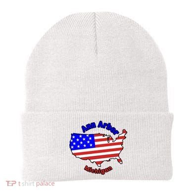 Ann Arbor Michigan Beanie