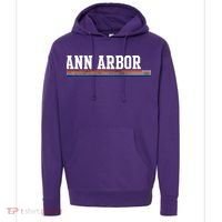 Ann Arbor Michigan Retro Logo Hoodie thumb 0