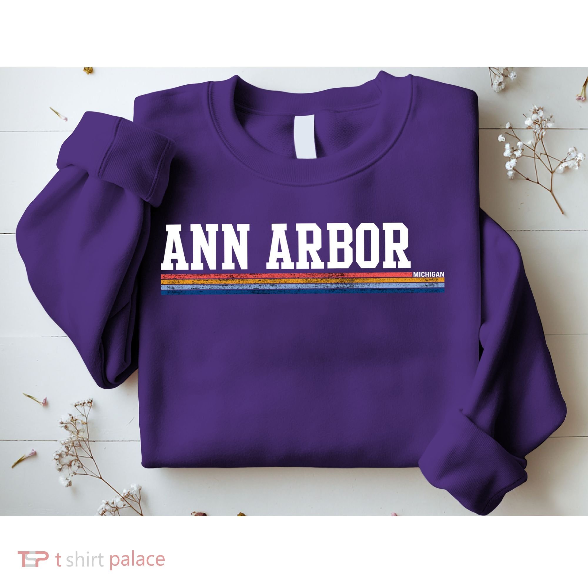 Ann Arbor Michigan Retro Logo Sweatshirt