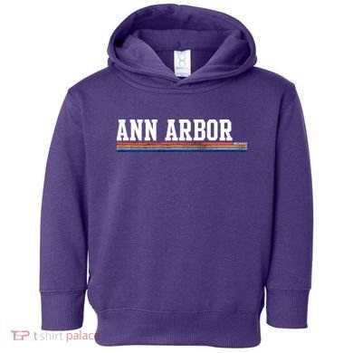 Ann Arbor Michigan Retro Logo Toddler Hoodie