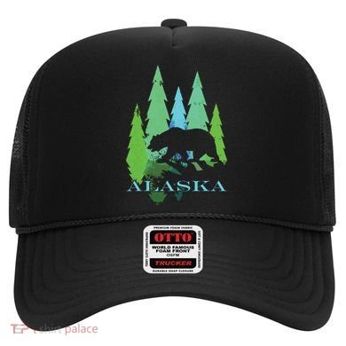 Alaska Alaskan Northern Light Trees With Bear Hat
