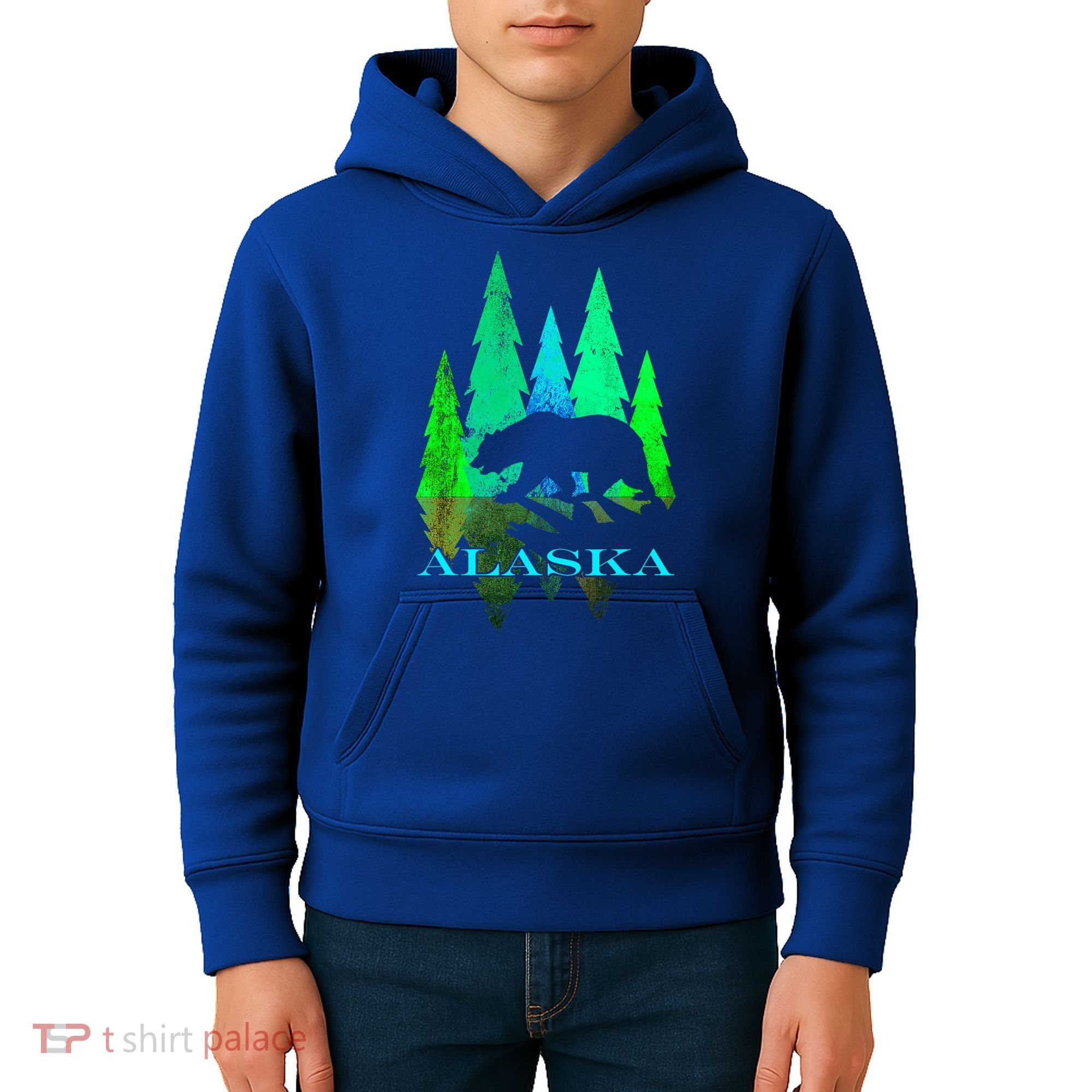 Alaska Alaskan Northern Light Trees With Bear Kids Hoodie