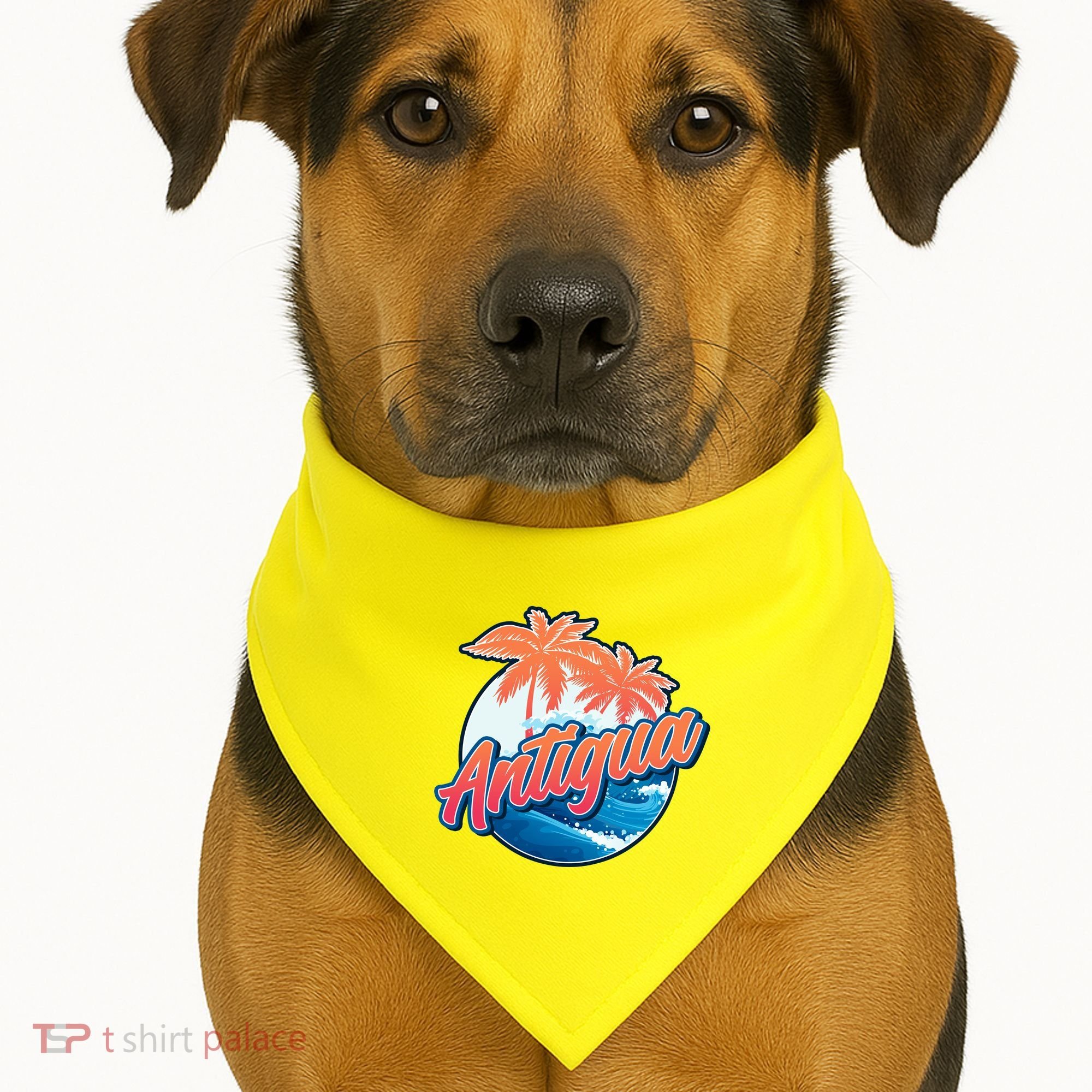 Antigua USA-Made Doggie Bandana
