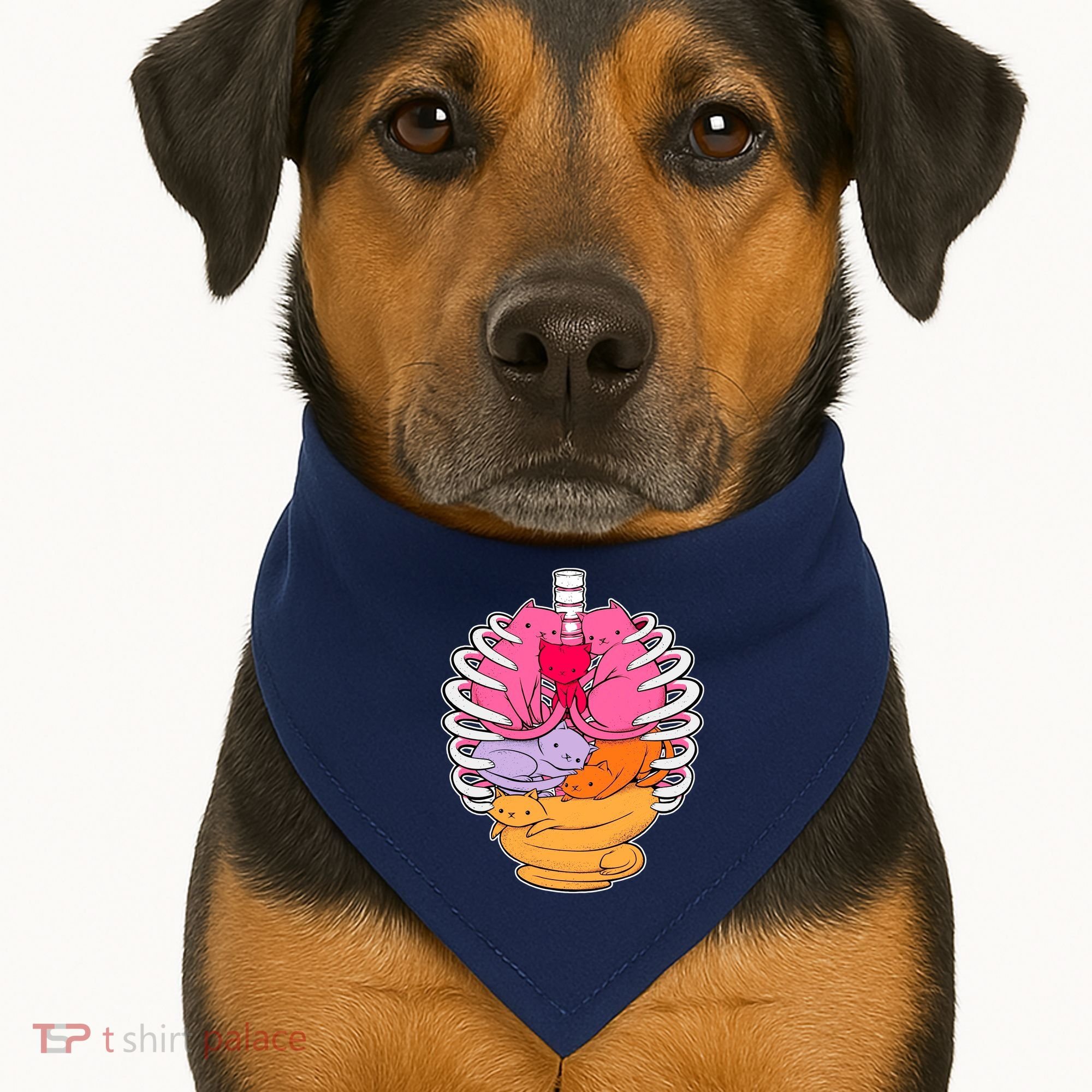 Aanatomicat Cat Chest Skeleton USA-Made Doggie Bandana
