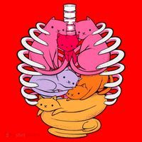 Aanatomicat Cat Chest Skeleton Santa Hat thumb 1