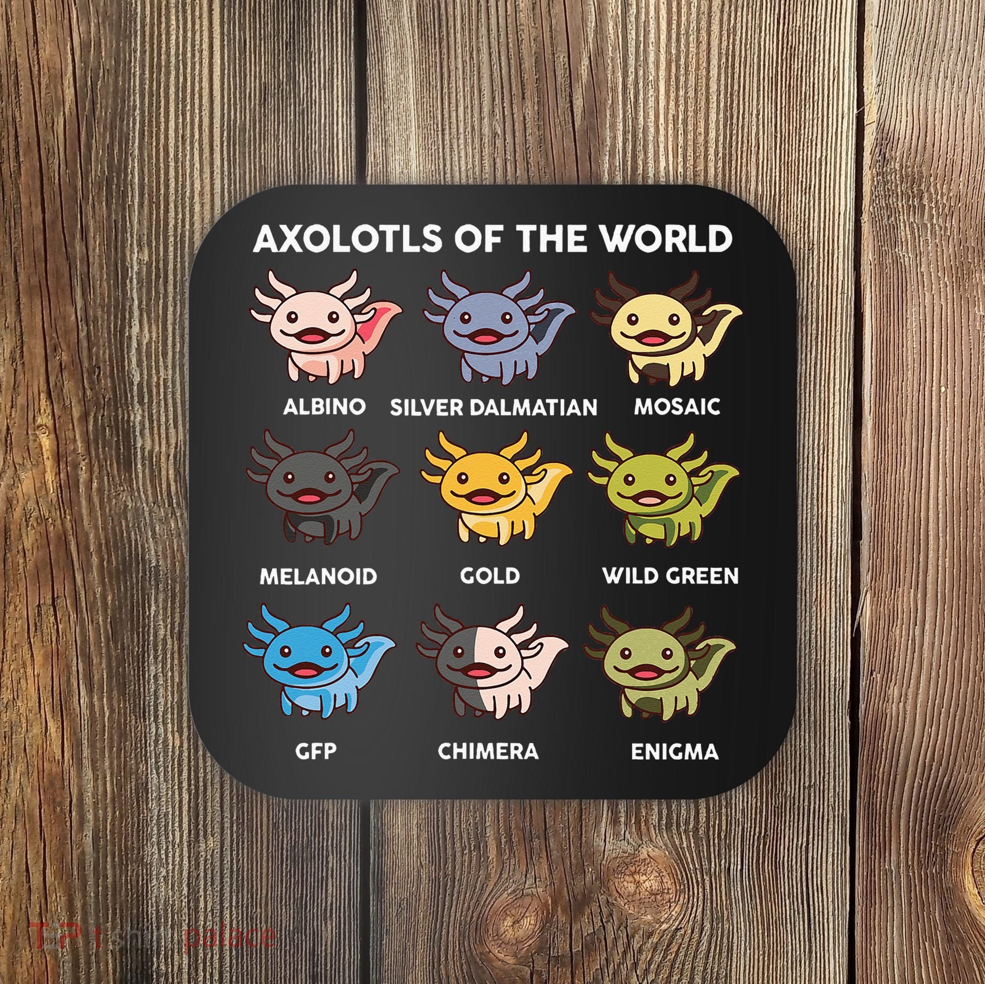 Axolotl Axolotl Of World Kids Coaster