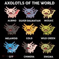 Axolotl-  Axolotl Of World  Coffee Mug thumb 5