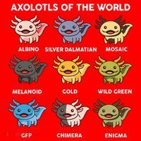 Axolotl-  Axolotl Of World  Santa Hat thumb 1