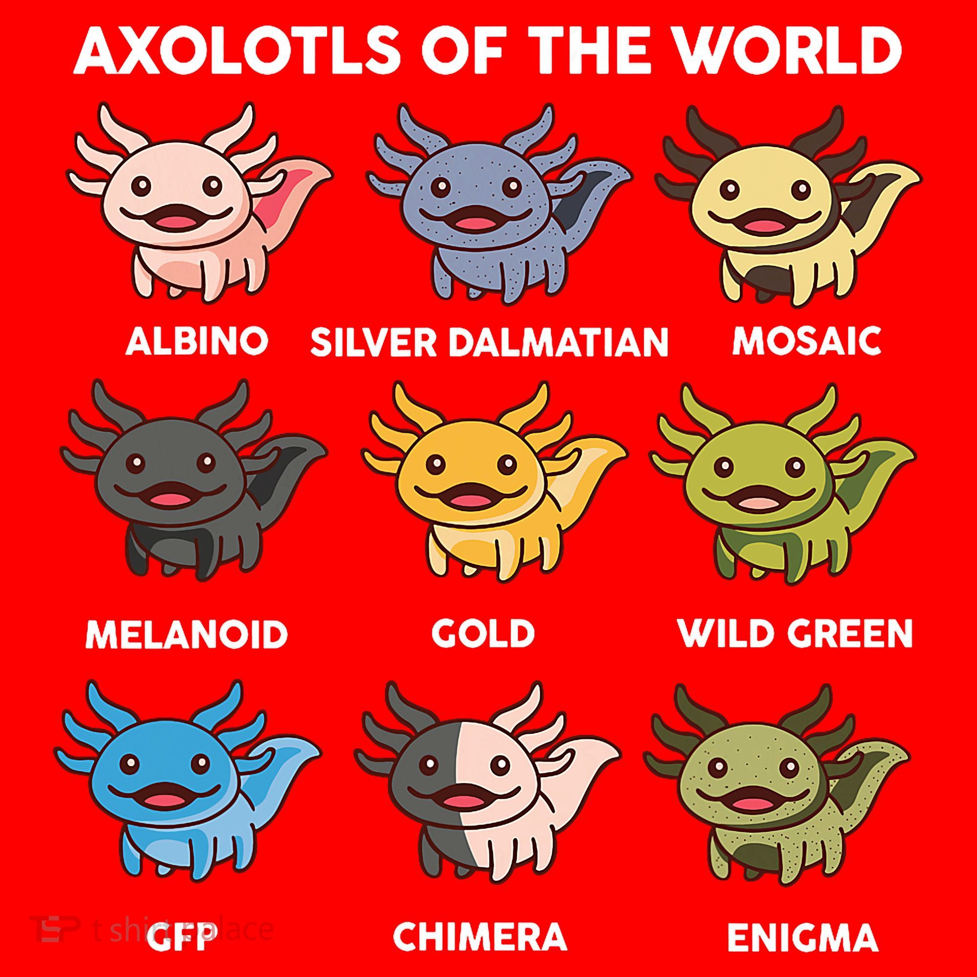 Axolotl-  Axolotl Of World  Santa Hat