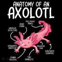 Axolotl Anatomy Of Axolotl Science Pet Axolotl Lover Coffee Mug thumb 5