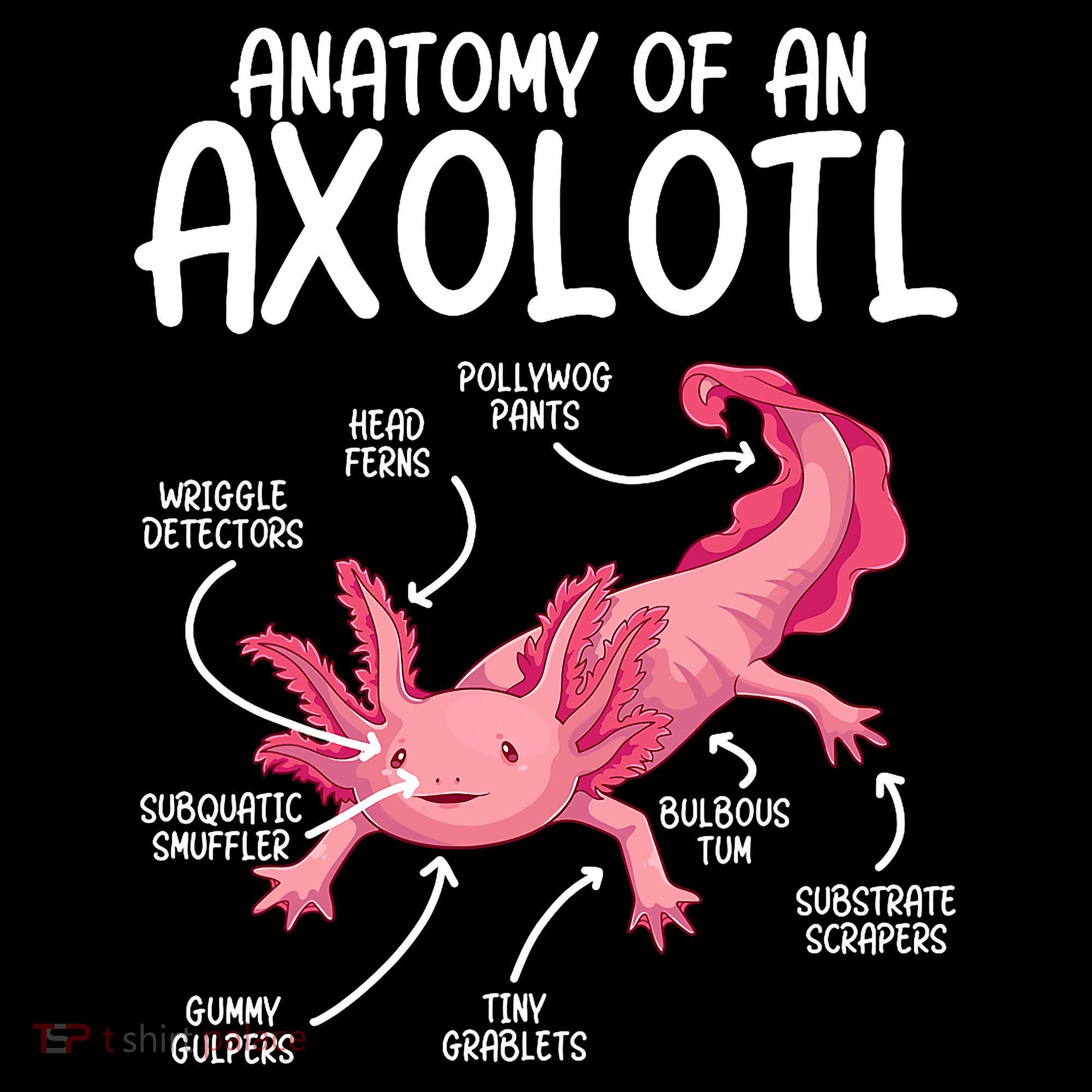 Axolotl Anatomy Of Axolotl Science Pet Axolotl Lover Coffee Mug