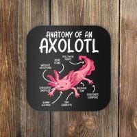 Axolotl Anatomy Of Axolotl Science Pet Axolotl Lover Coaster thumb 0
