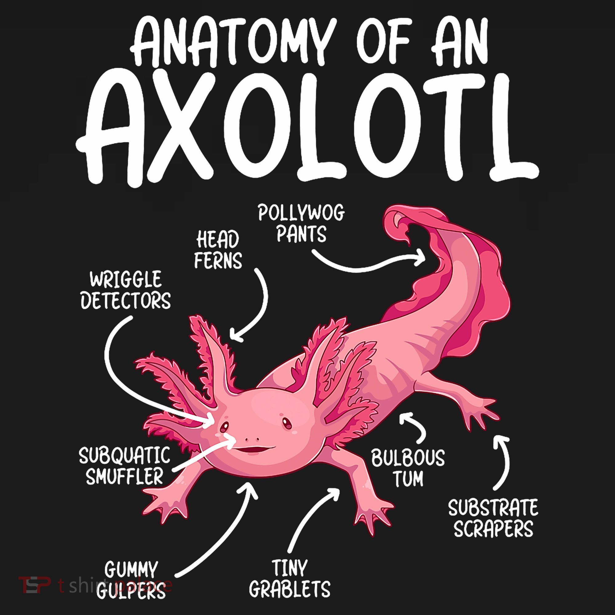 Axolotl Anatomy Of Axolotl Science Pet Axolotl Lover Women's T-Shirt